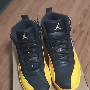 Jordan 12 University gold